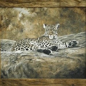 Davina Dobie leopard on rock.gif